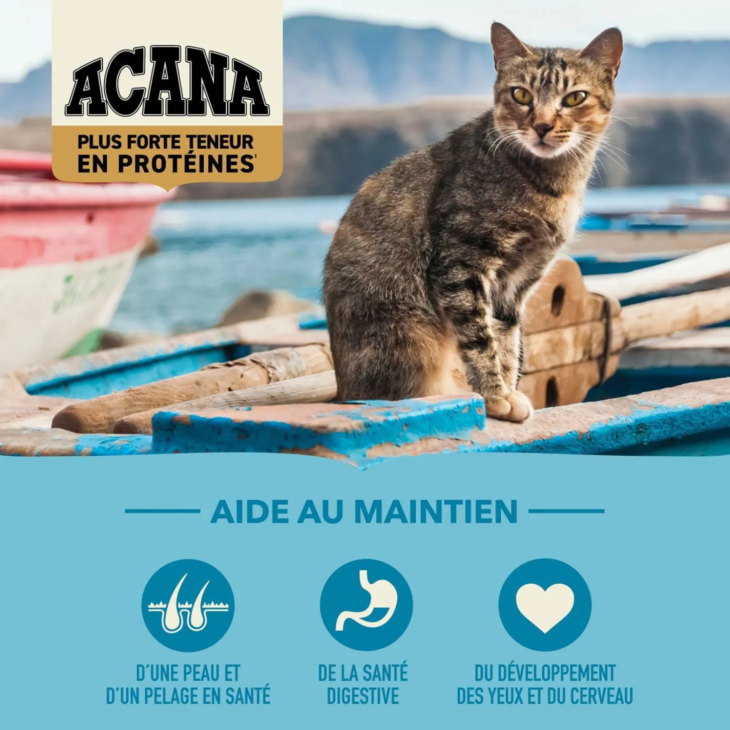 Pacifica Highest Protein Dry Cat Food, 1.8 kg