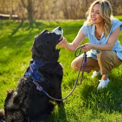 Paracord Dog Leash