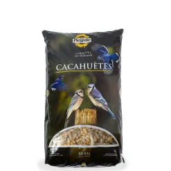 Peanuts with shells for wild birds