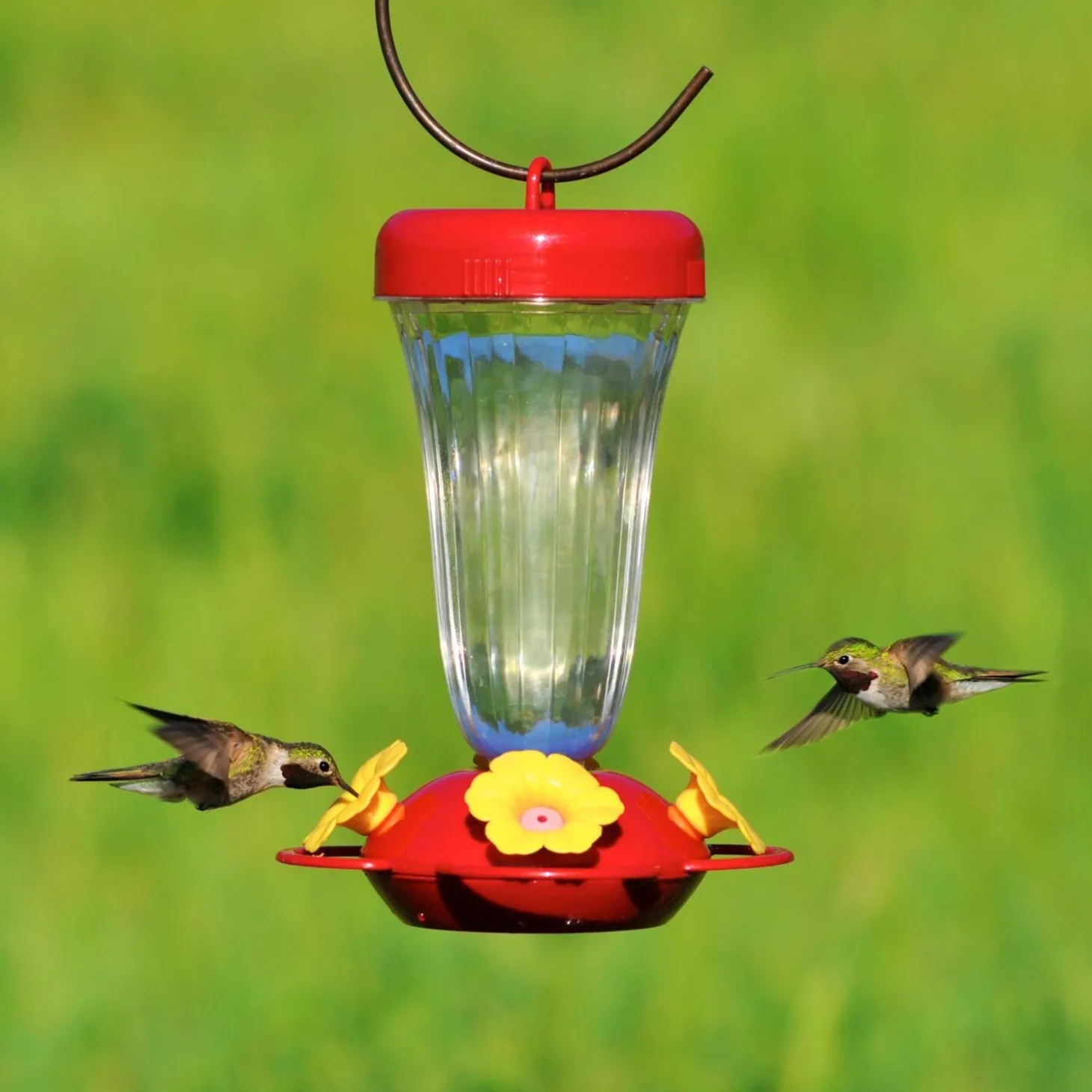 Perky’s Finest 16 oz plastic top fill hummingbird feeder