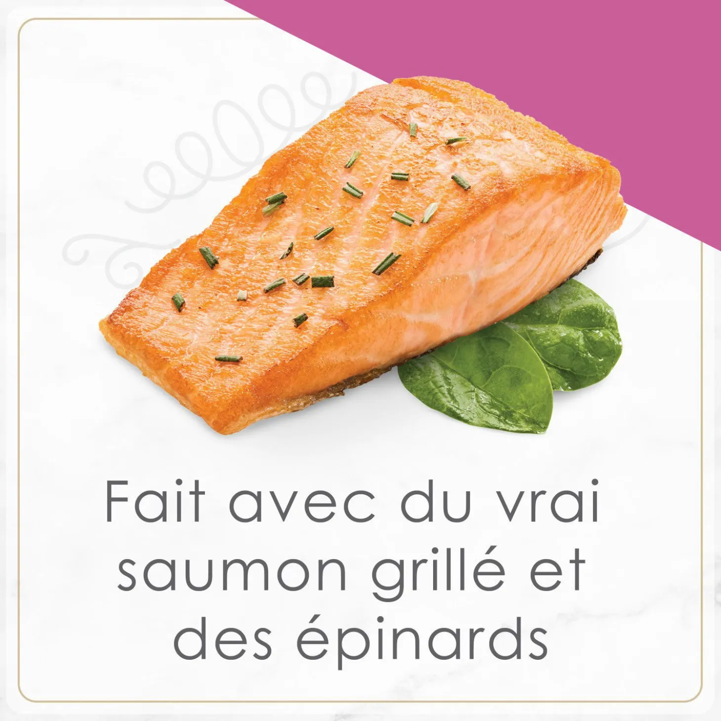 Petites wet food for cats, seared salmon and spinach