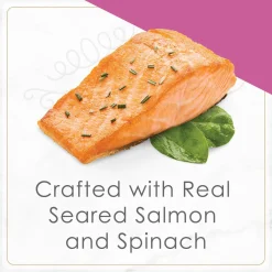 Petites wet food for cats, seared salmon and spinach