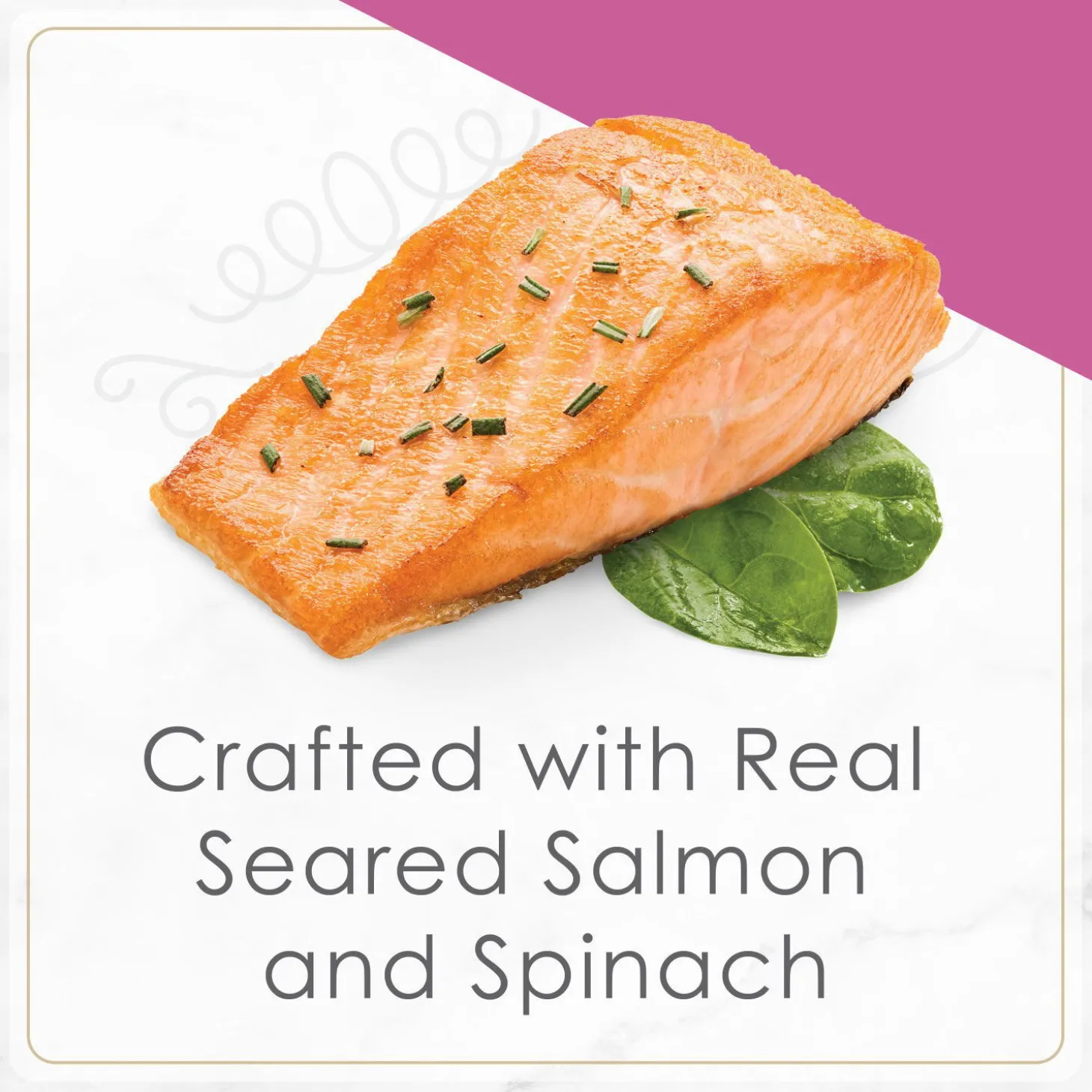 Petites wet food for cats, seared salmon and spinach