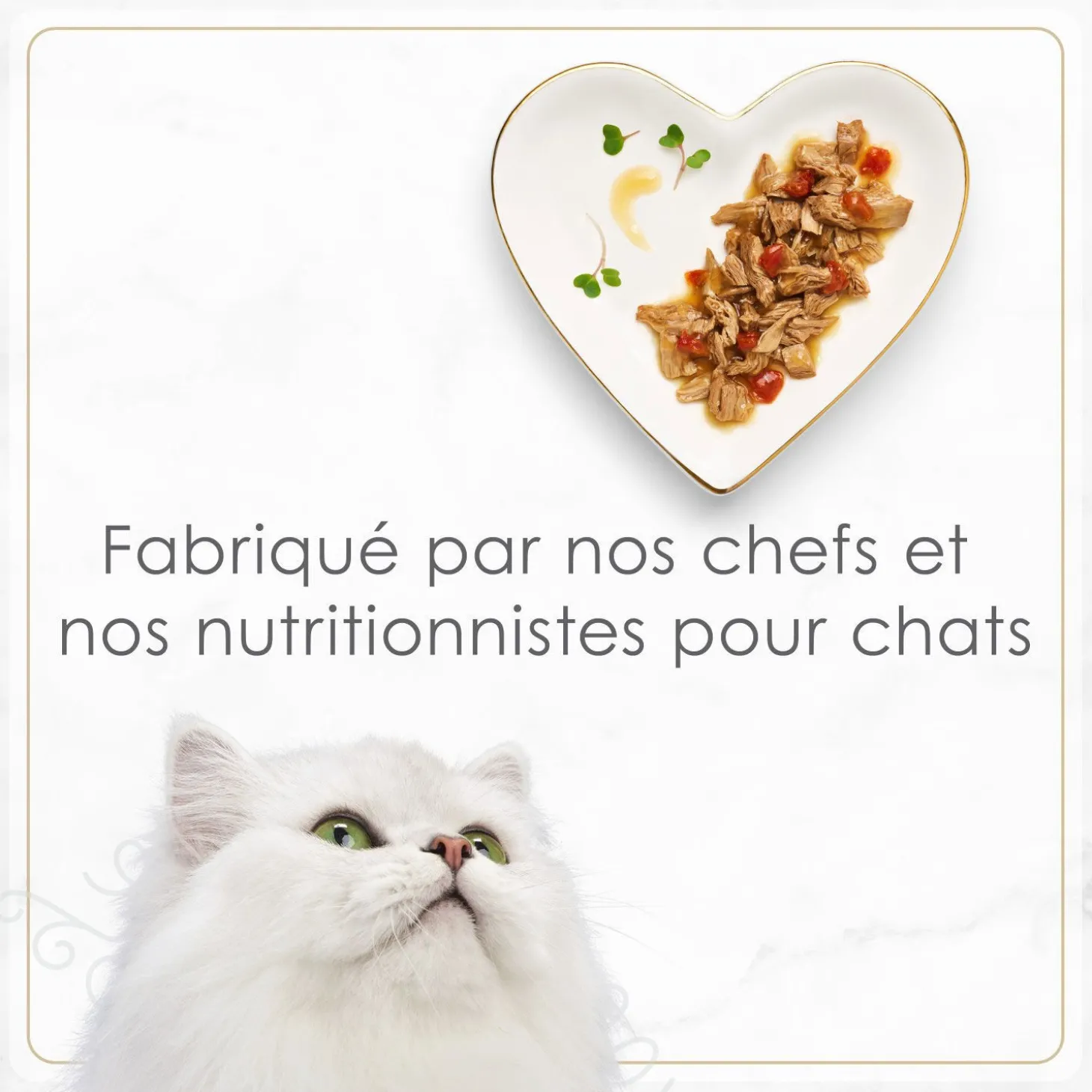 Petites wet food for cats, grilled chicken and rice