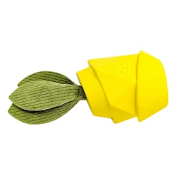 Pineapple Scented Dog Toy