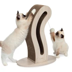 PIXI Scratcher, Cat Tail