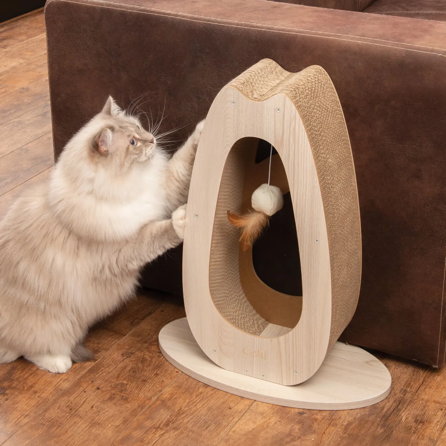 PIXI Scratcher, Tall