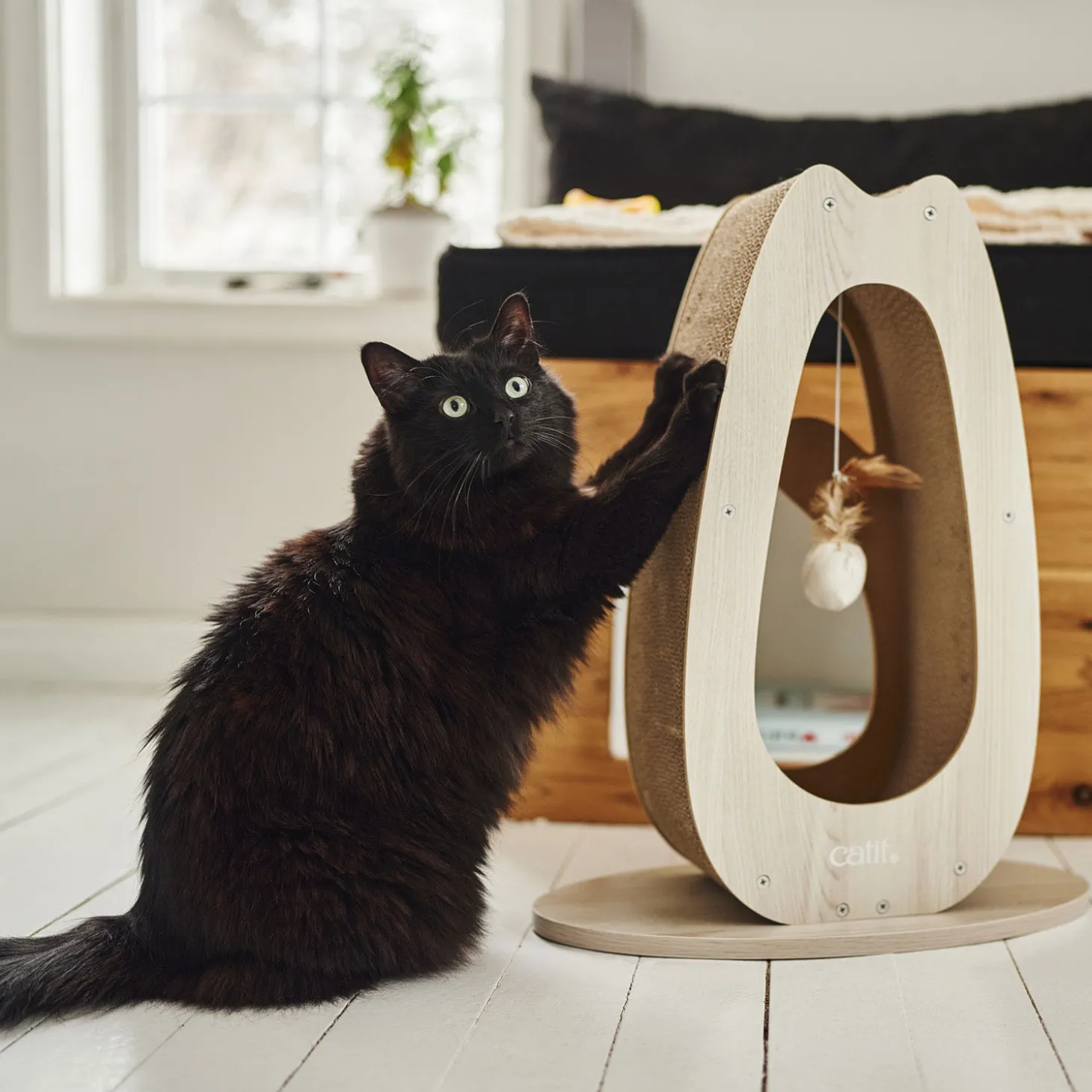 PIXI Scratcher, Tall