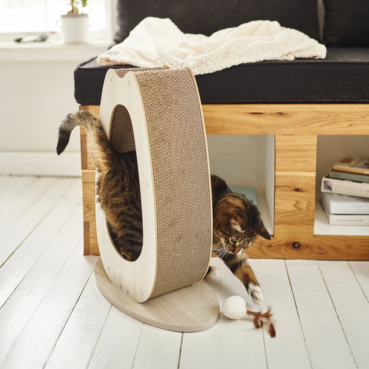 PIXI Scratcher, Tall