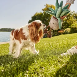 Plant Squeaker Plush Toy for Dogs