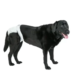 PoochPants Diaper for Dogs