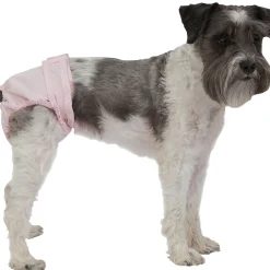 PoochPants™ Diaper for Dogs, S