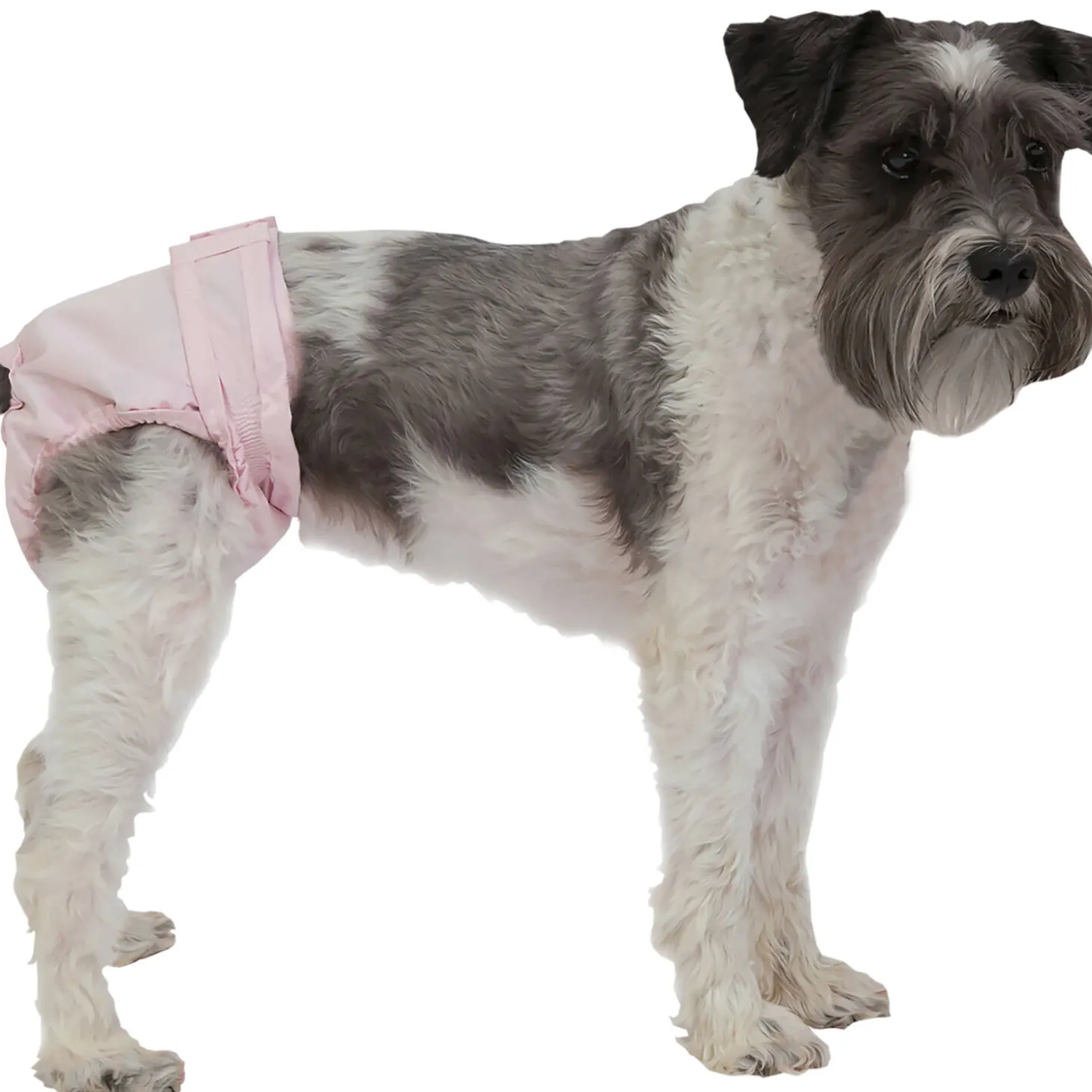 PoochPants™ Diaper for Dogs, S