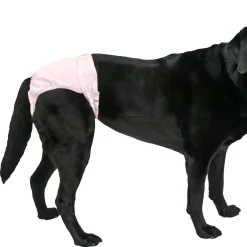 PoochPants™ Diaper for Dogs, XL