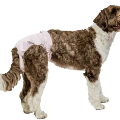 PoochPants™ Diaper for Dogs, XL
