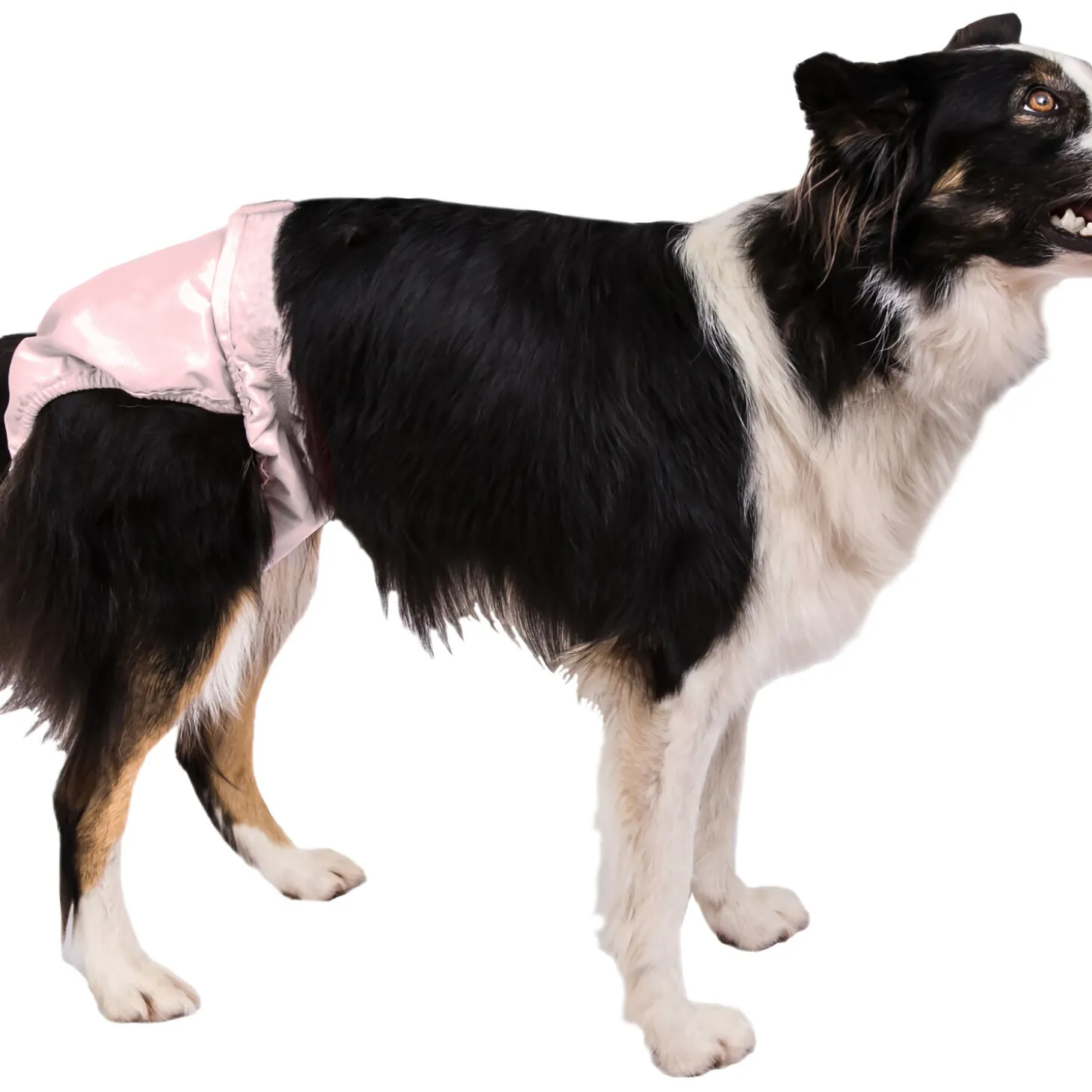 PoochPants™ Diaper for Dogs, M