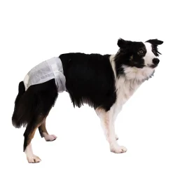 PoochPants Disposable Absorbent Diaper for Dogs, M