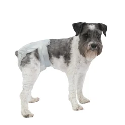 PoochPants Disposable Absorbent Diaper for Dogs, S