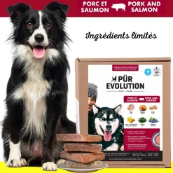 Pork and Salmon Raw Dog Food