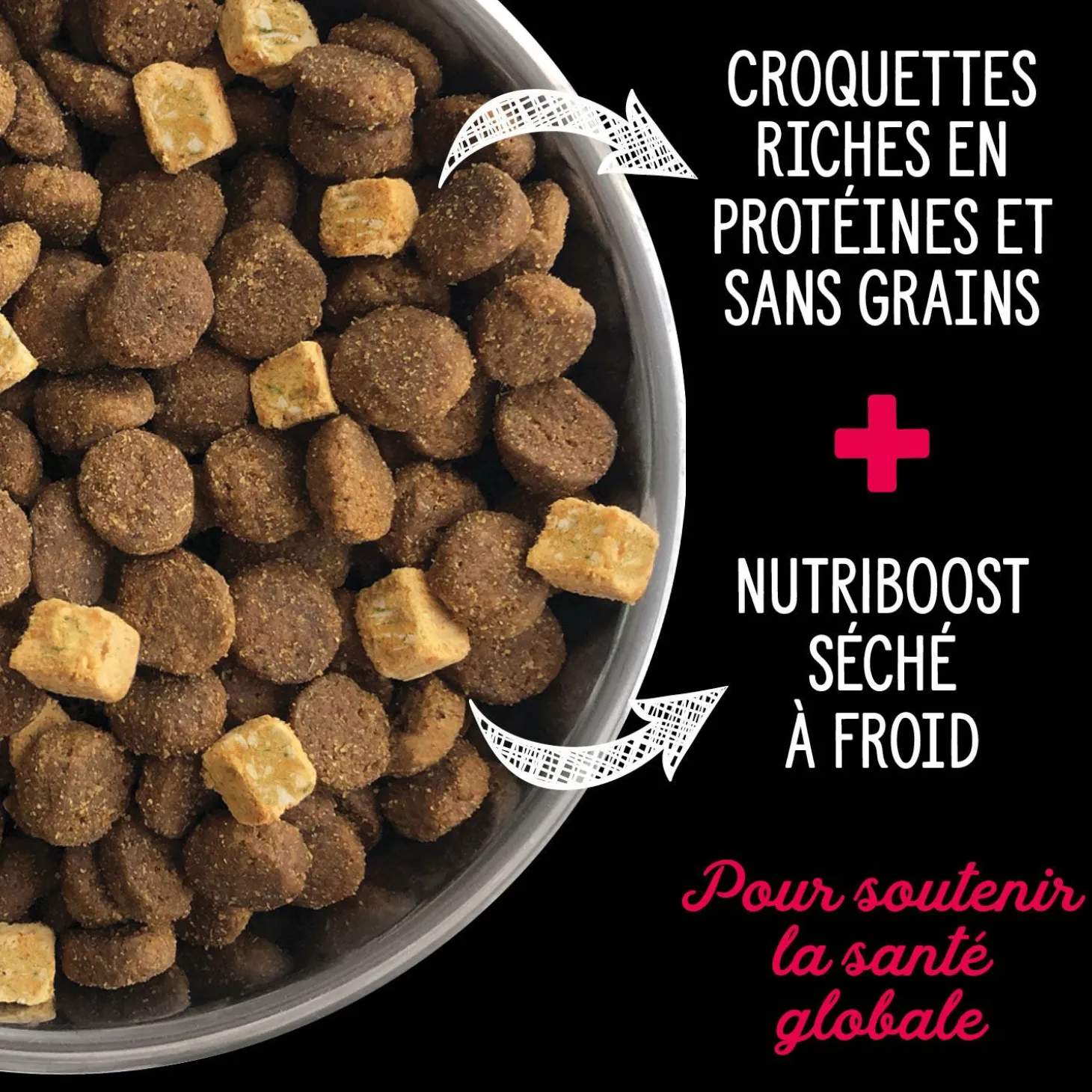 Prairie Red Dry Food for Dogs