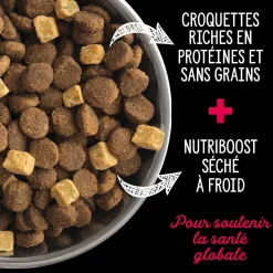Prairie Red dry food for adult dogs