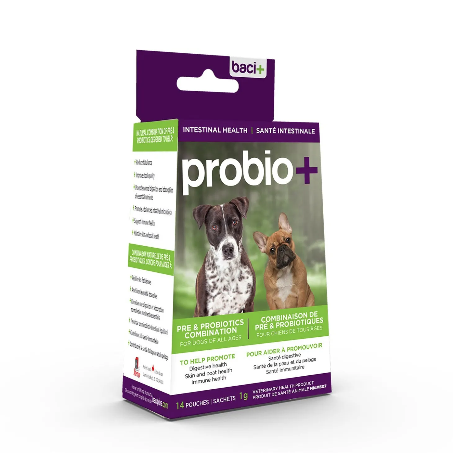 Pre & Probiotics Intestinal Health
