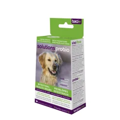 Probiotic powder for dogs