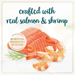 Pâté of salmon & shrimp wet food for adult cats