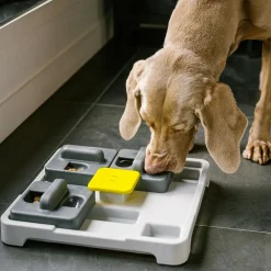 Push and Find Interactive Toy for Dogs
