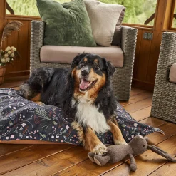Rabbit Plush Dog Toy