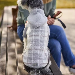 Raglan Hooded Sweater for Small Dogs