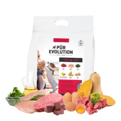Raw Dog Food, Beef and Chicken