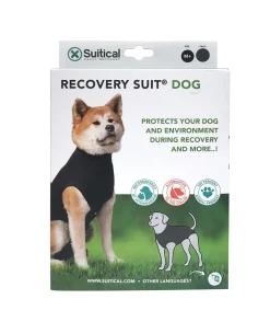 Recovery Suit