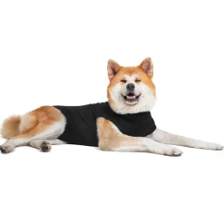 Recovery Suit