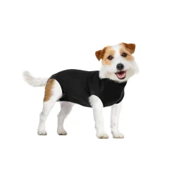 Recovery Suit