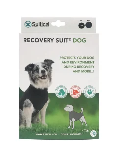 Recovery Suit