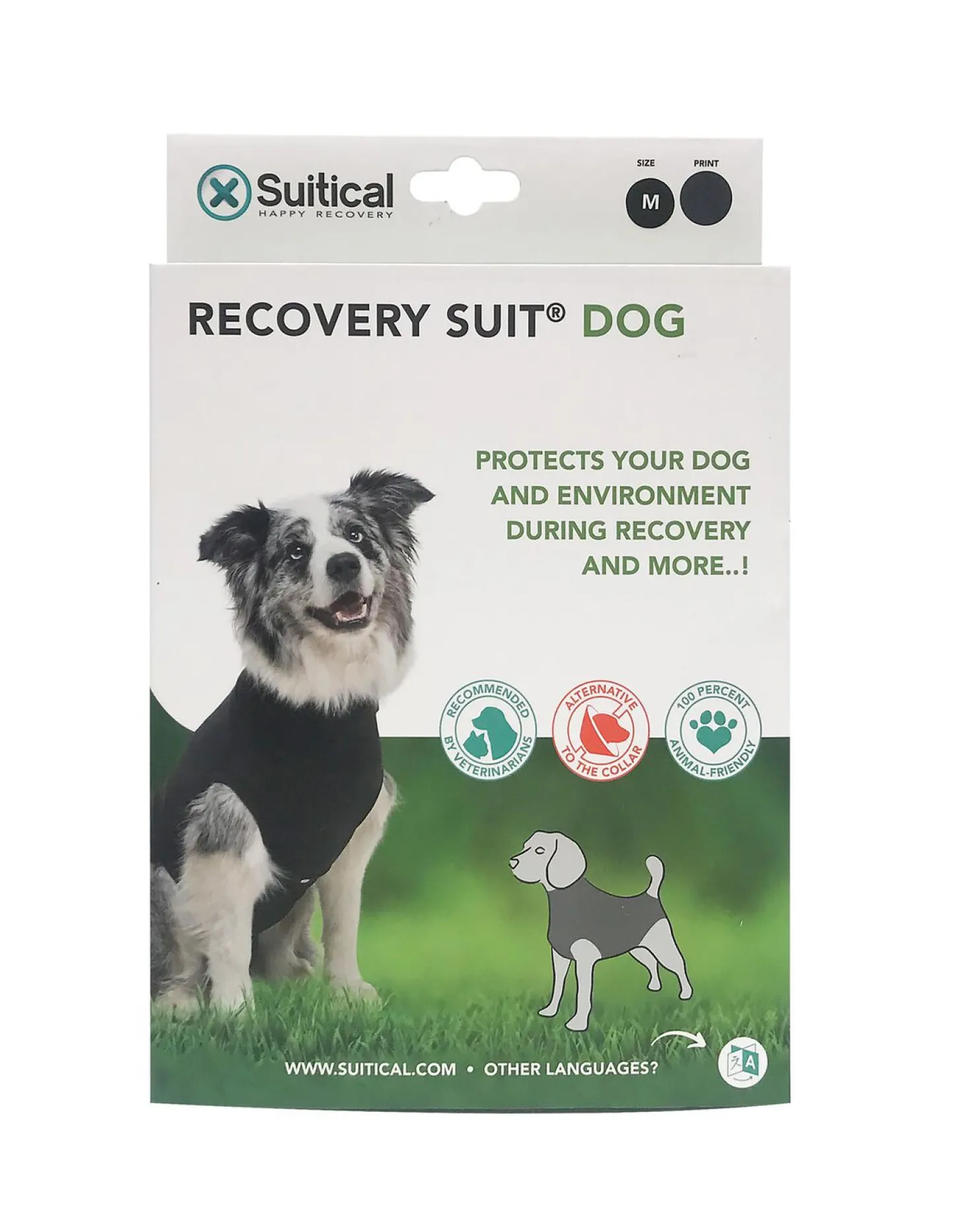 Recovery Suit