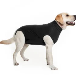 Recovery Suit