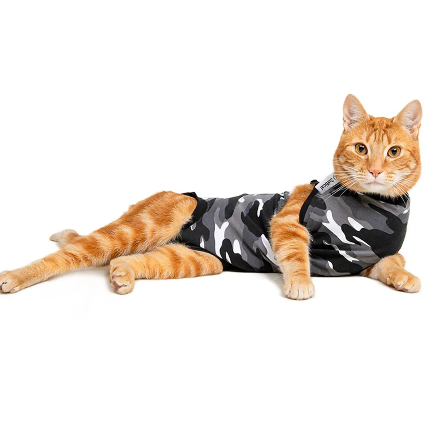 Recovery Suit for Cats