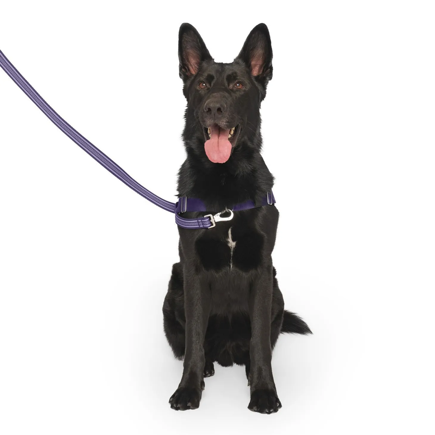 Redirect Harness for Dogs