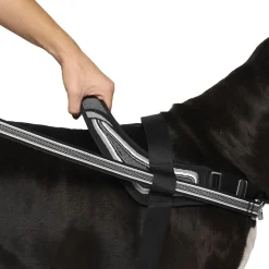 Redirect Harness for Dogs