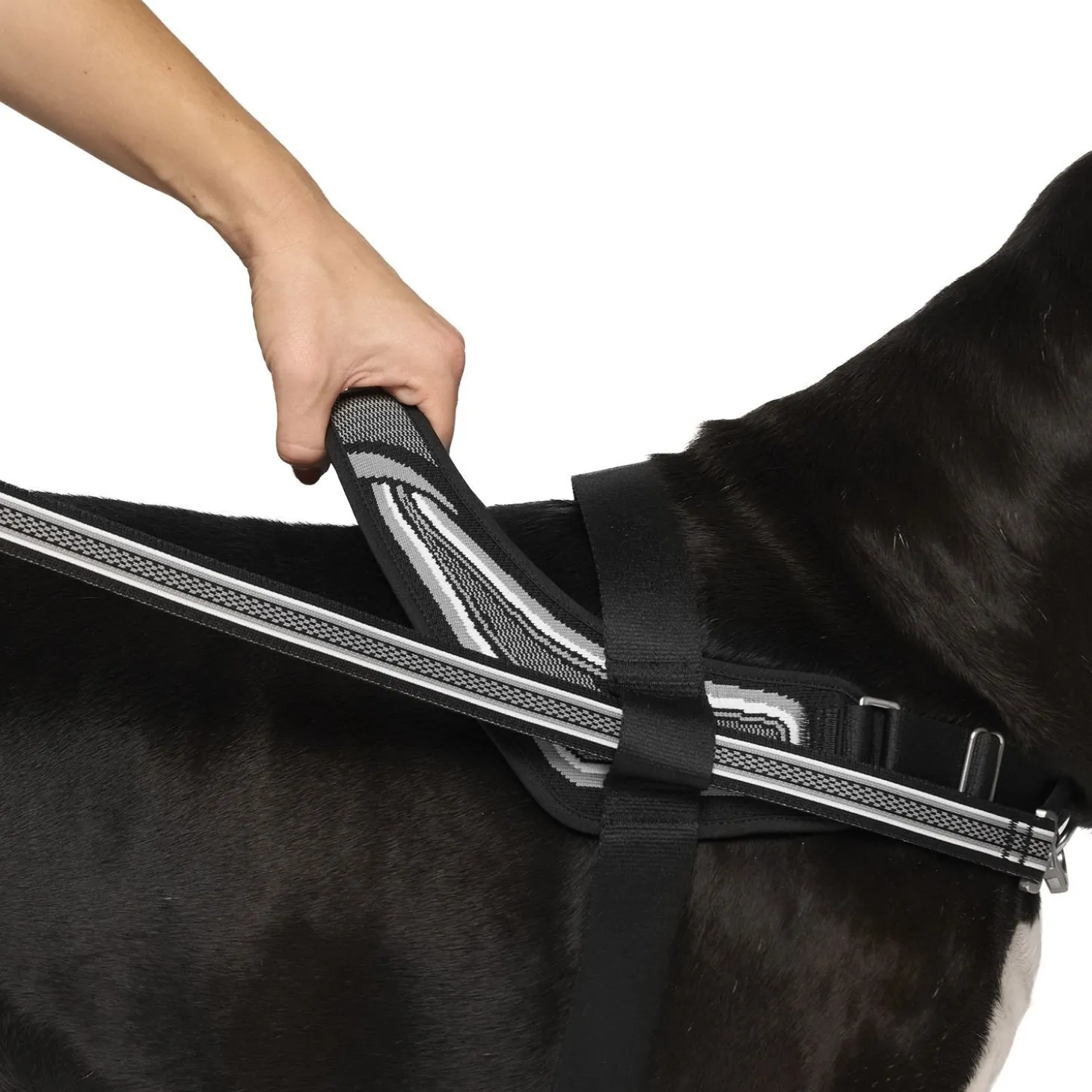 Redirect Harness for Dogs