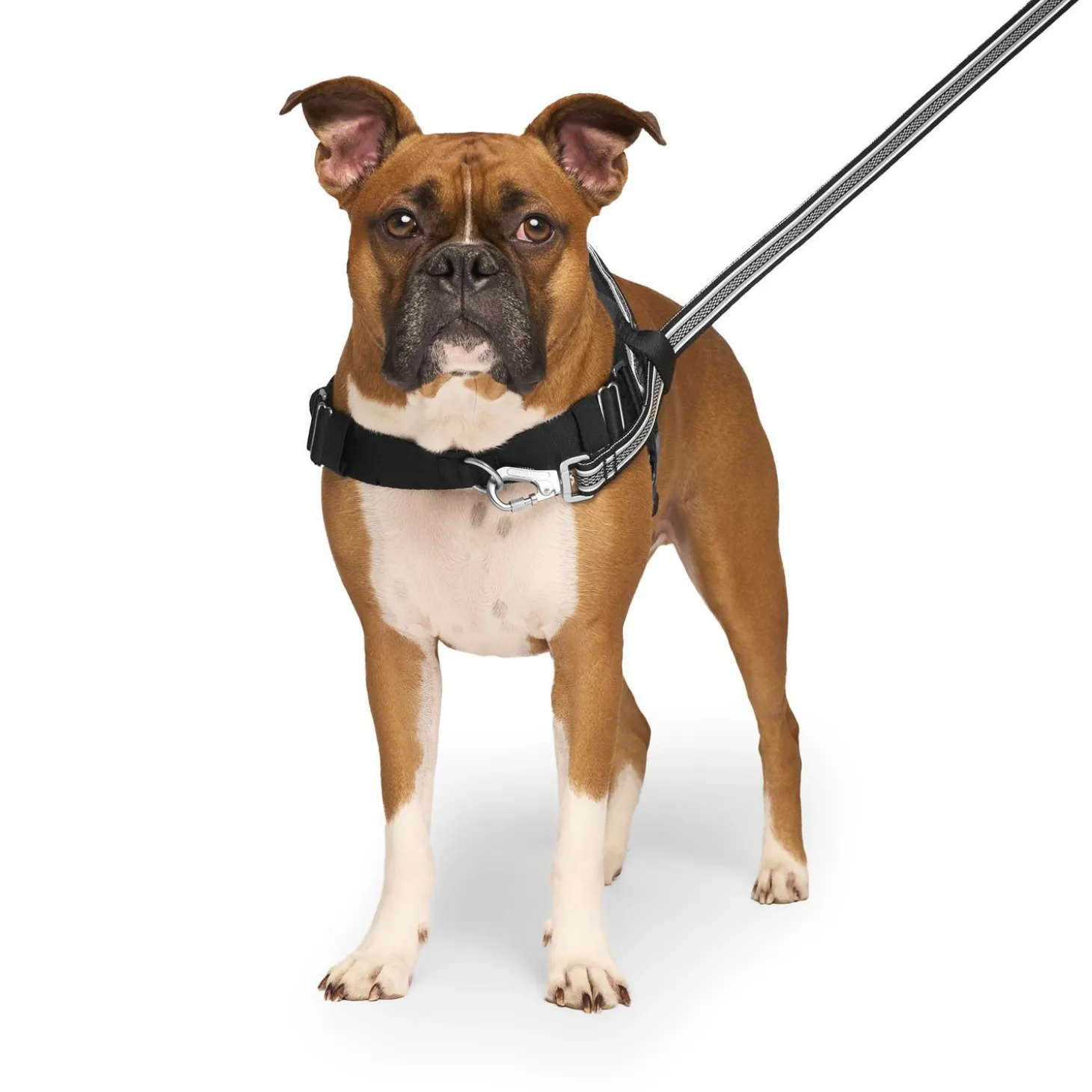 Redirect Harness for Dogs