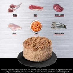 Regional Red Entrée for Cats, 155 g