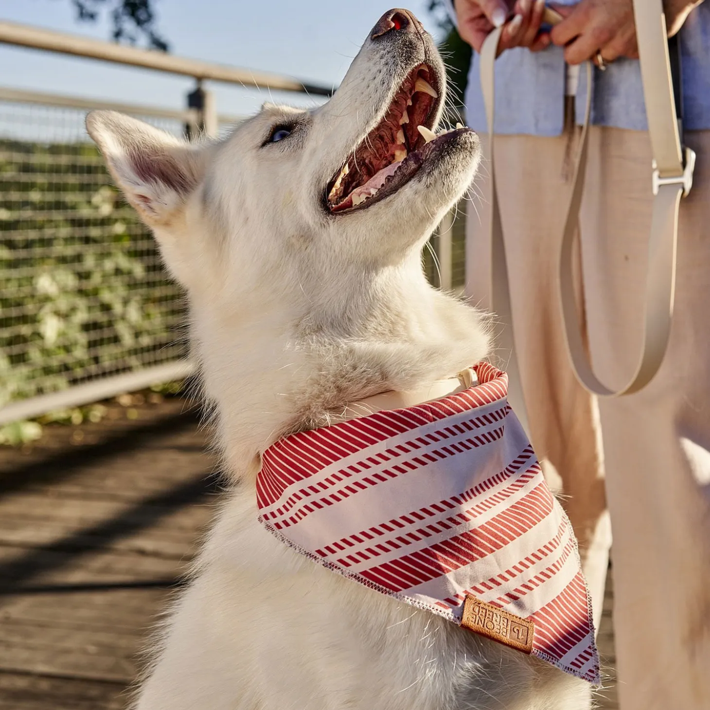 Reversible Bandana for Dogs