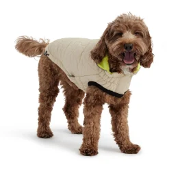 Reversible Chalet Jacket for Dogs