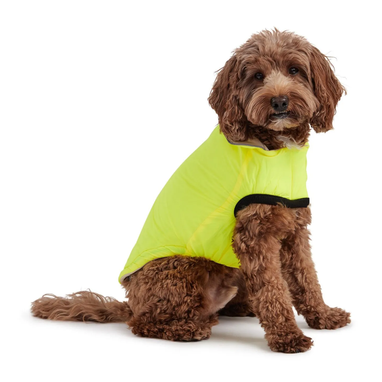Reversible Chalet Jacket for Dogs