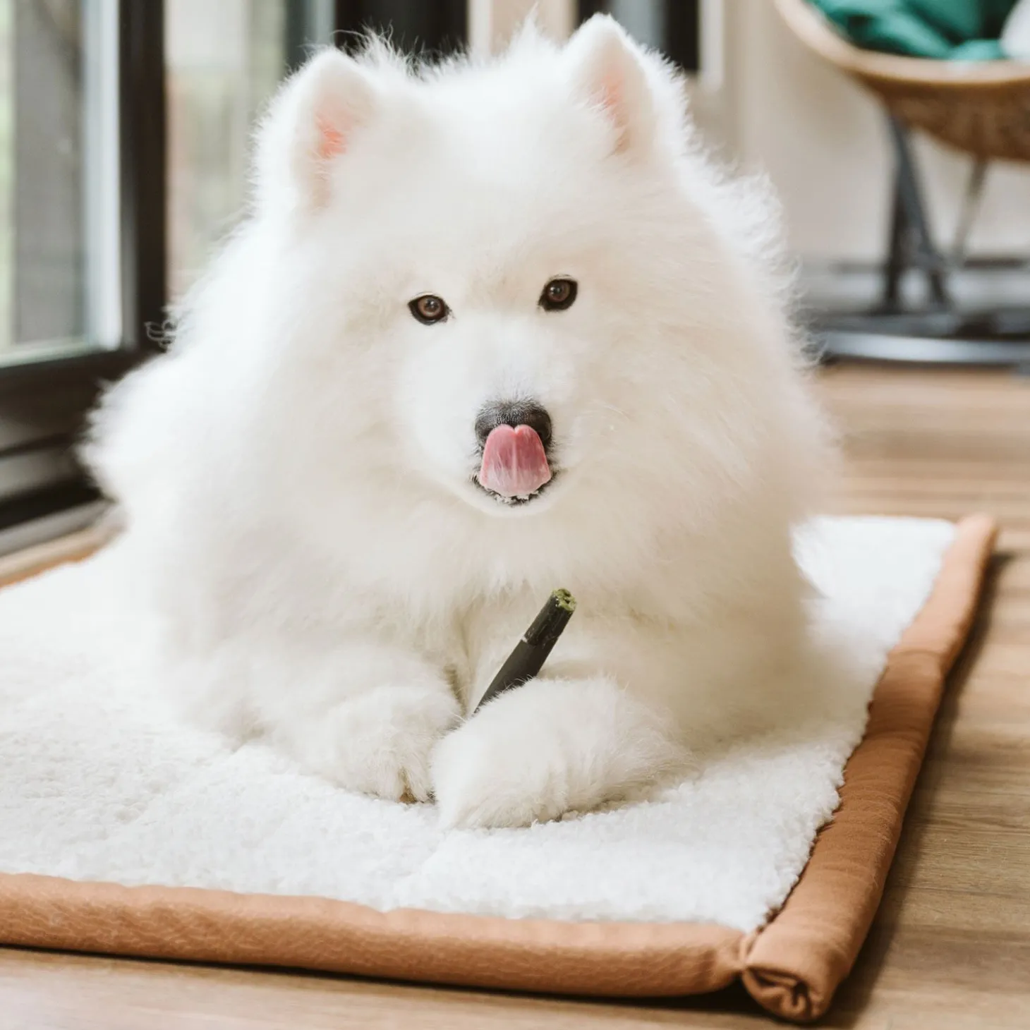 Reversible Luxury Mat