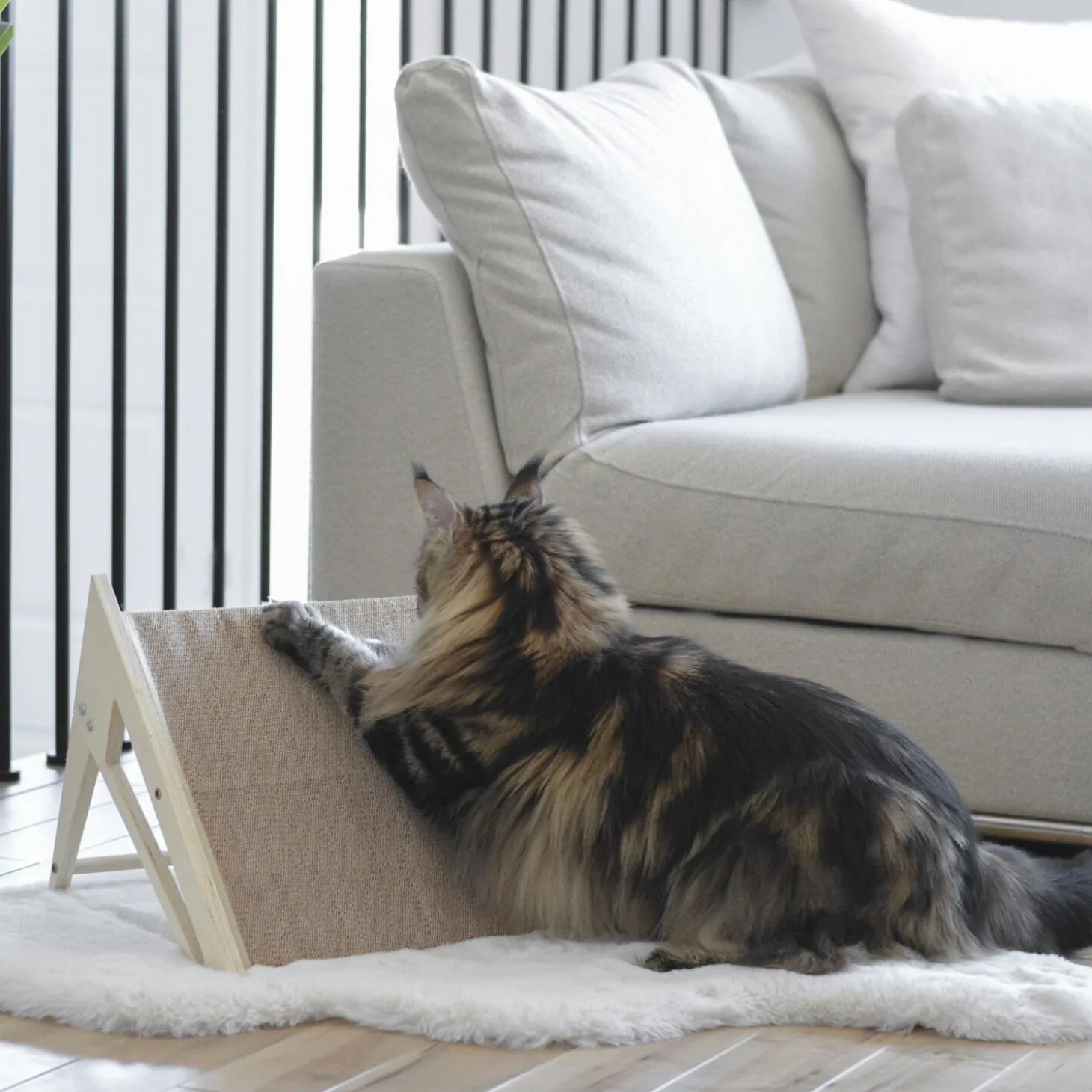 Reversible Scratcher