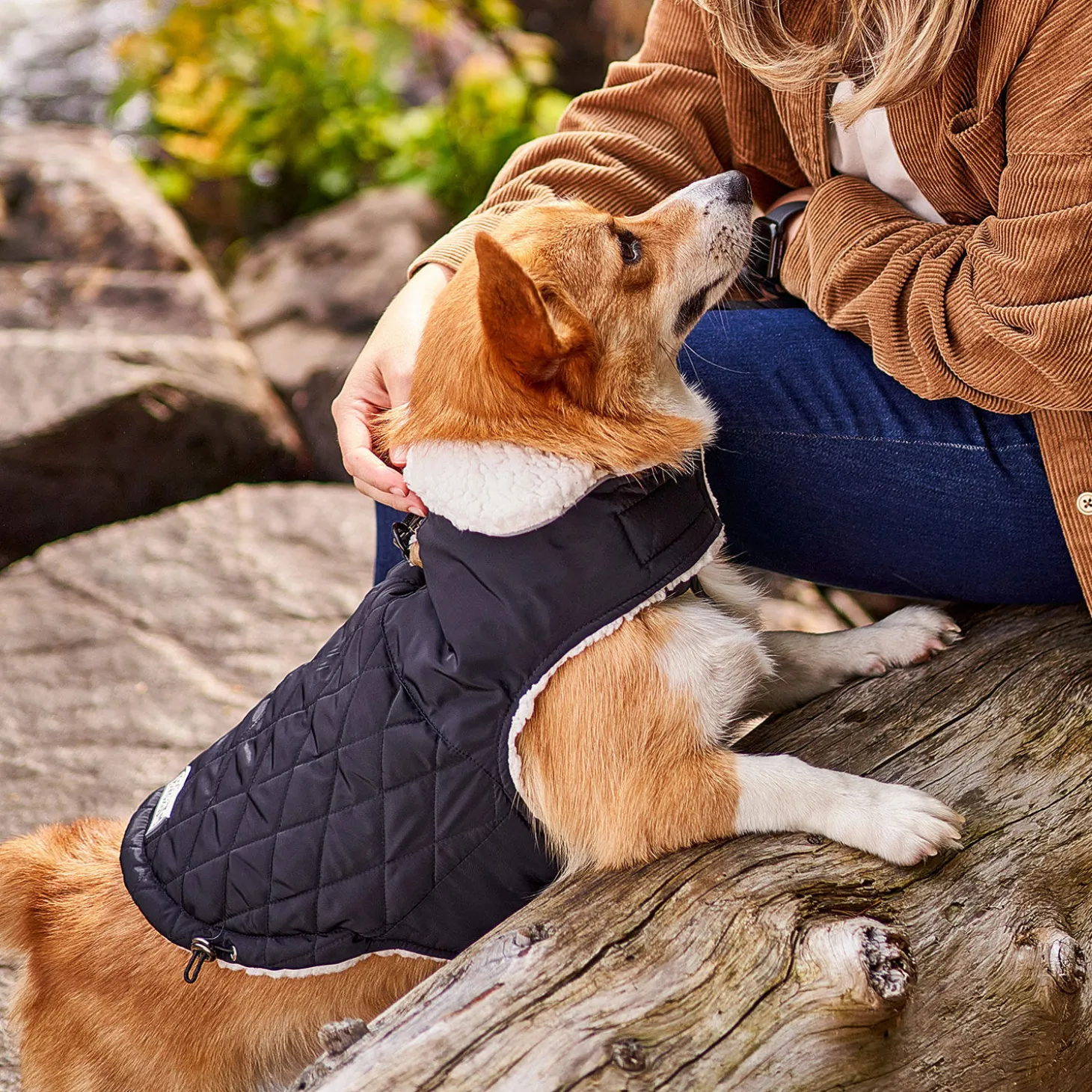 Reversible Winter Wrap for Dogs
